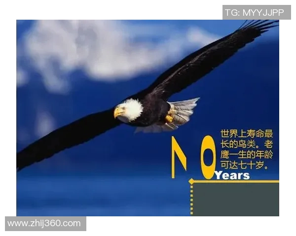 田宇翔的成长之路与梦想追逐：从普通少年到卓越人才的蜕变故事